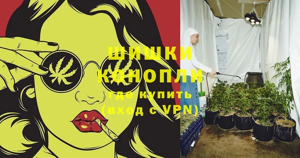 бошки Алексин