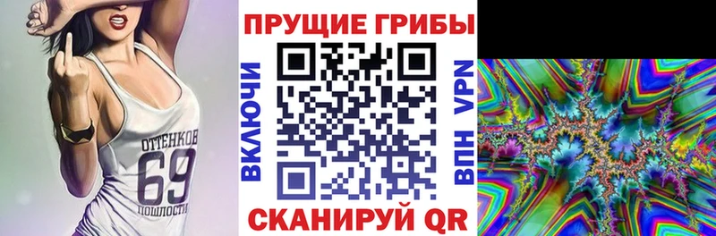 Псилоцибиновые грибы Psilocybine cubensis наркотики Людиново