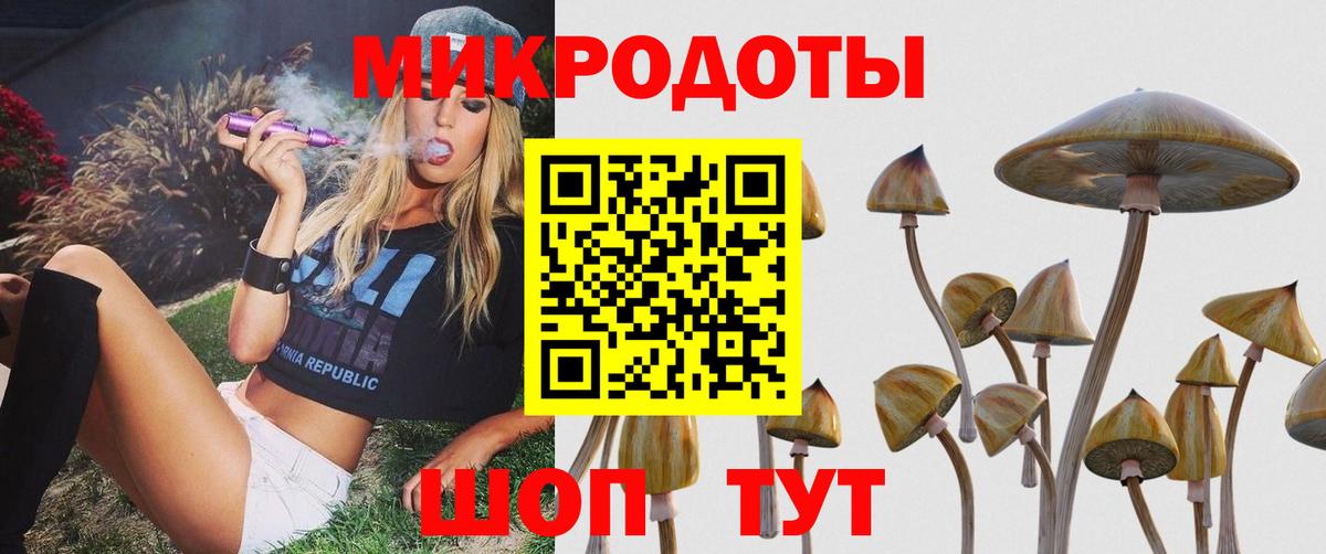 Галлюциногенные грибы ЛСД Людиново